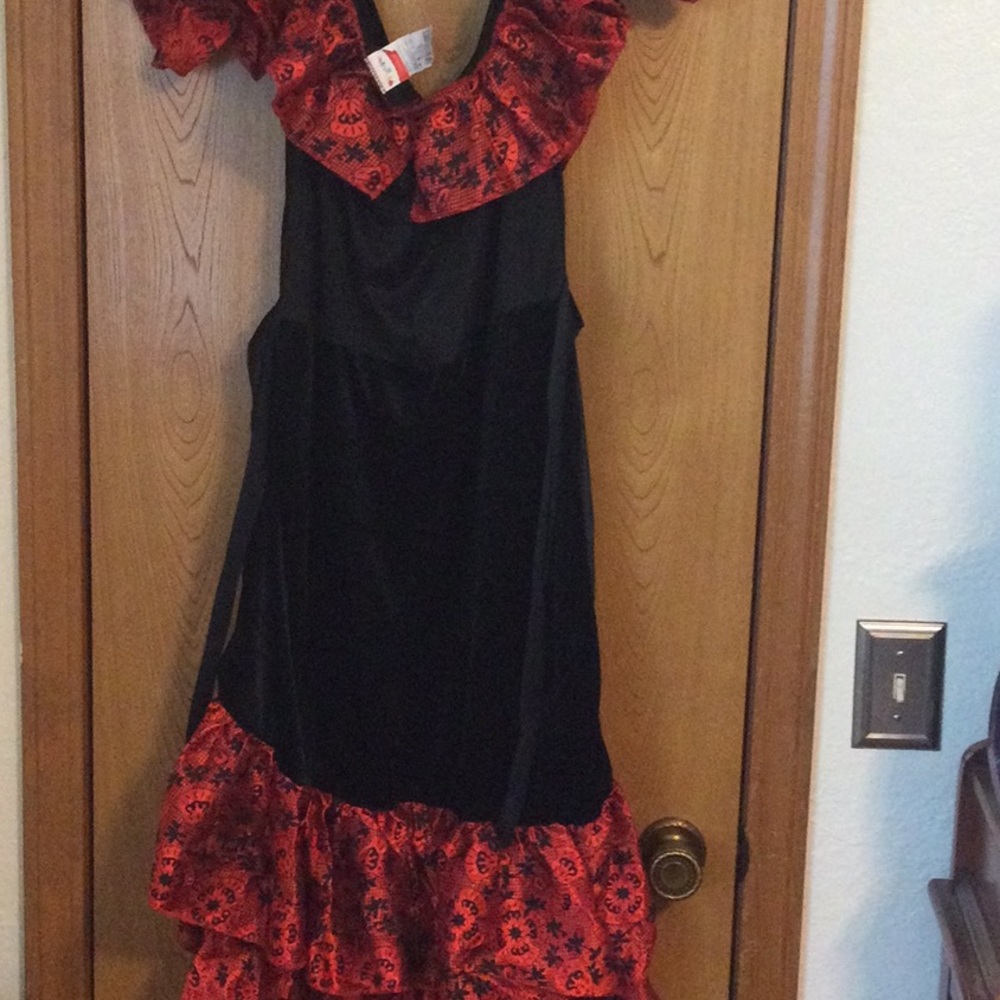 Bundle wig/Spanish dancer costume size Large. - Picture 6 of 12